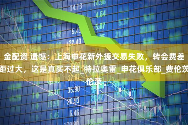金配资 遗憾：上海申花新外援交易失败，转会费差距过大，这是真买不起_特拉奥雷_申花俱乐部_费伦茨